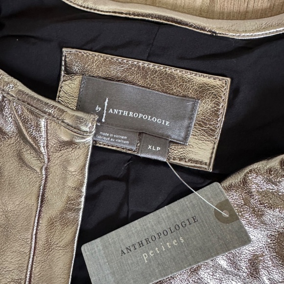 Anthropologie Somerset metallic faux leather dress - Picture 5 of 5
